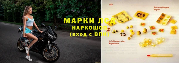 эйфоретик Гусев