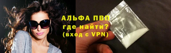 эйфоретик Гусев