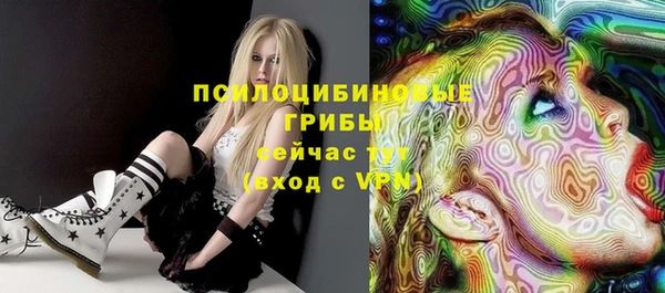 эйфоретик Гусев